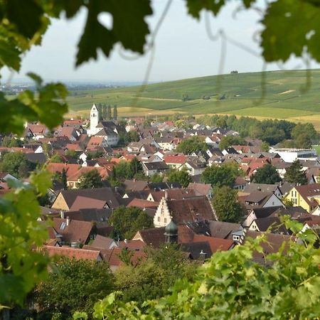 Ferienwohnung Schneckental Pfaffenweiler Dış mekan fotoğraf